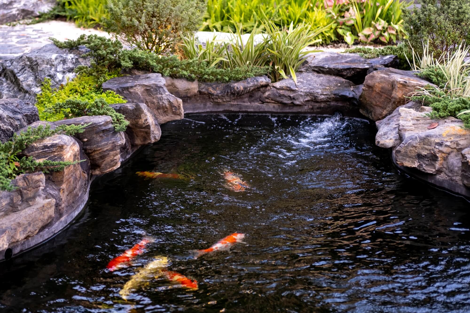 Decorative koi pond landscaping by Kanger Lawns