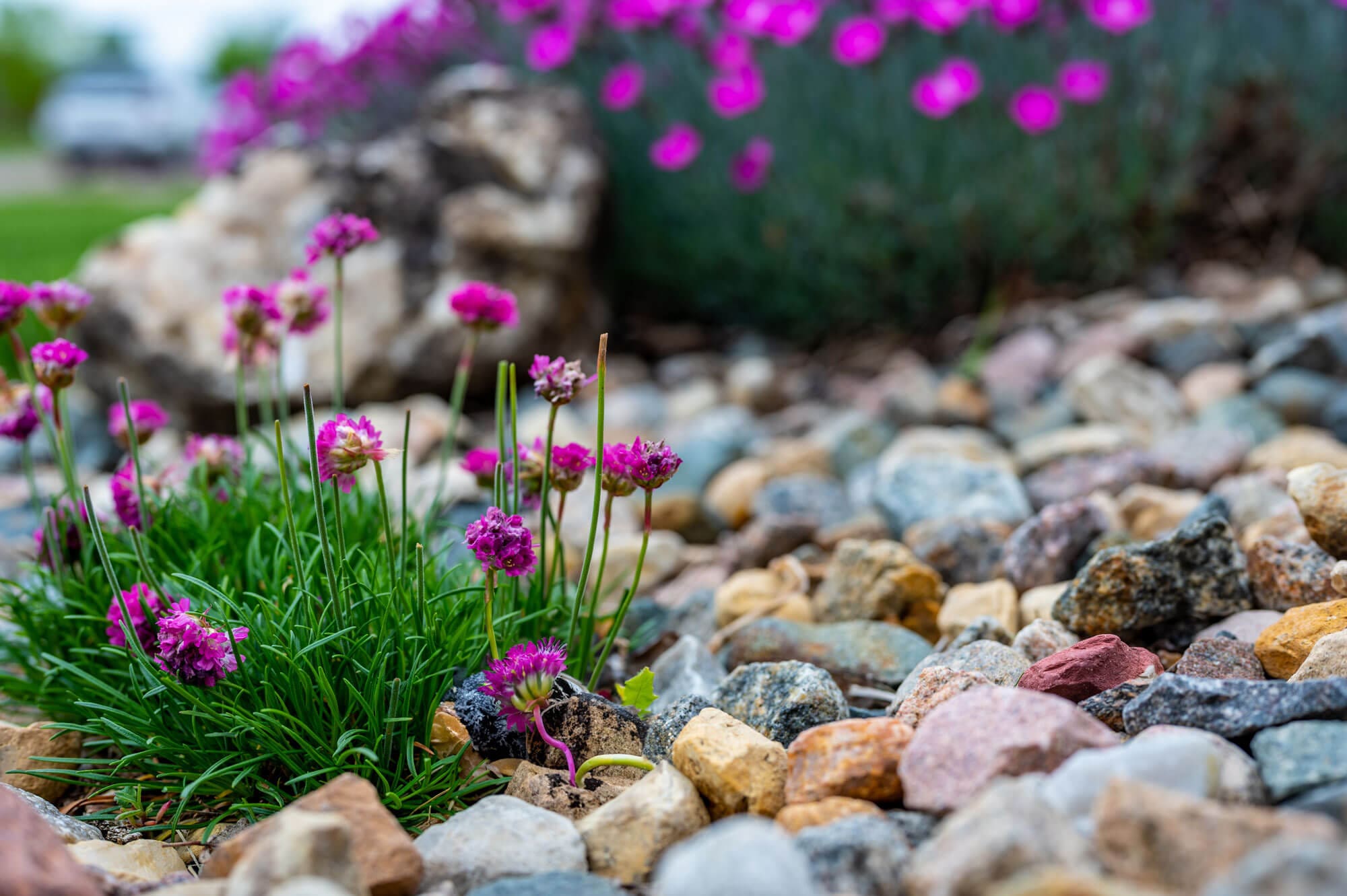 Mulch and decorative rock landscaping