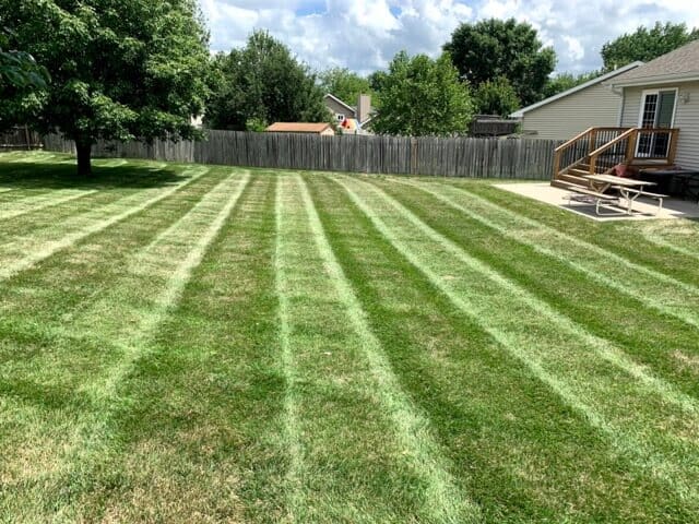 Sod installation and lawn overseeding in Omaha