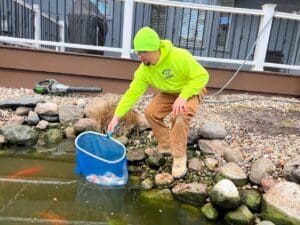 pond cleaning maintenance