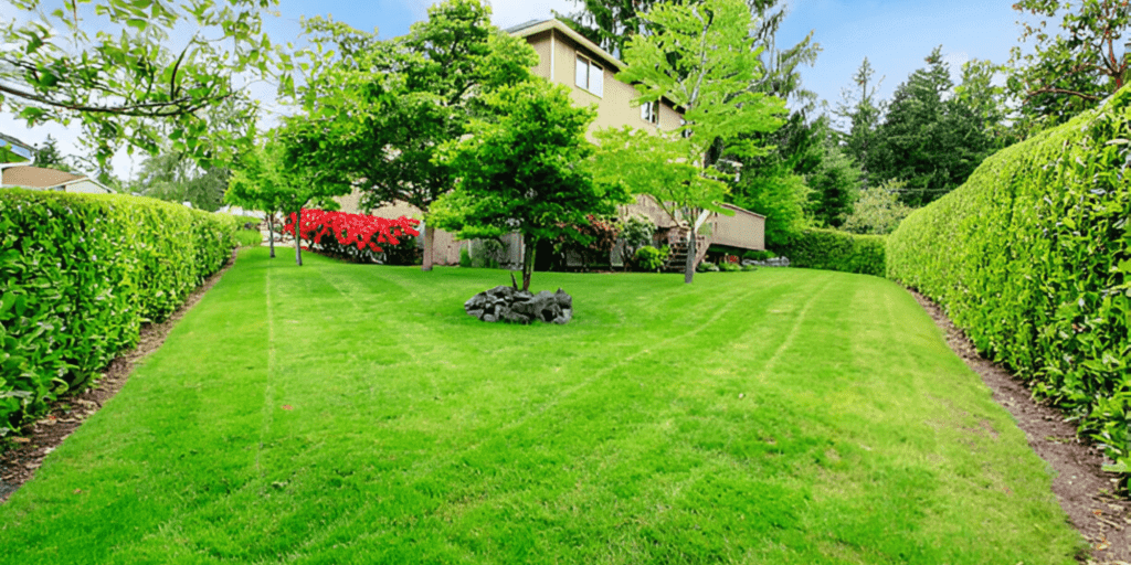 Lawn Care Services in Ralston, NE Lawn Care Services
