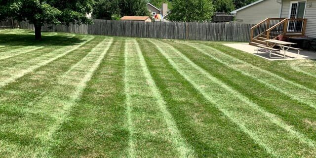 lawn trimming services